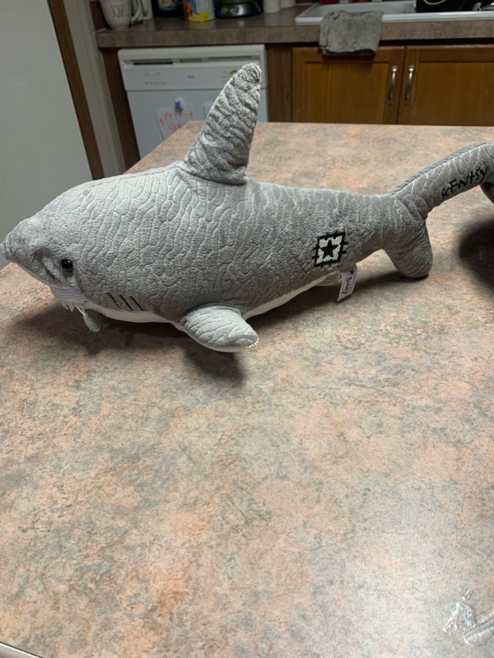 Stevie the Shark Scentsy Buddy (retired)